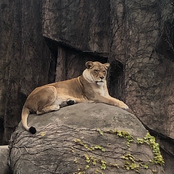 Meet your Posher, Karlean - Picture 1 of 1